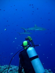 パラオツアー画像6