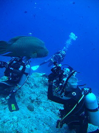 14パラオツアー画像10