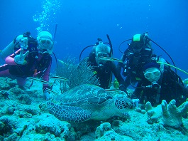 14パラオツアー画像18