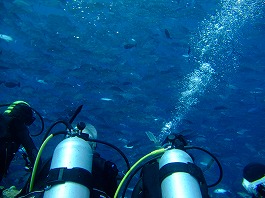 14パラオツアー画像3