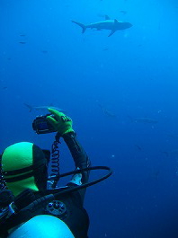 14パラオツアー画像8