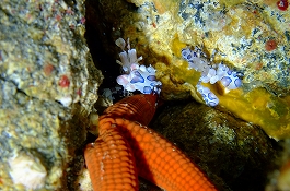 okata����̎ʐ^