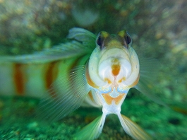 ��������������12