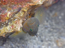 ��������������14