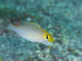 ��������������15