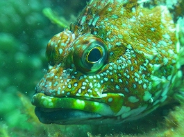 ��������������16