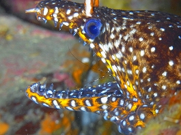 ��������������19