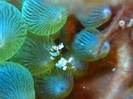 ��������������20