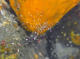 ��������������21