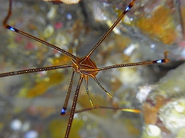 ��������������24