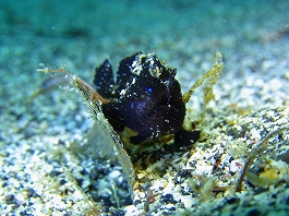 ��������������05