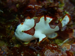 ��������������06