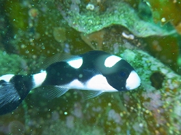 ��������������07