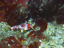 ��������������08