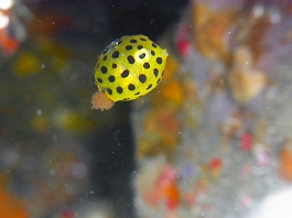 ��������������09