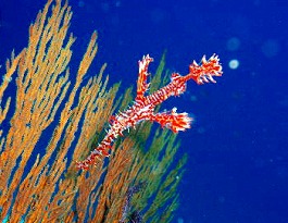 �x�ˁE�������l1