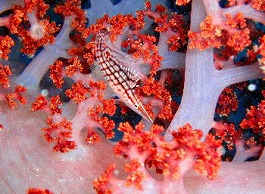 �x�ˁE�������l10