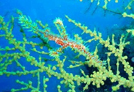 �x�ˁE�������l2