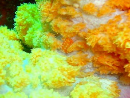 �x�ˁE�������l4