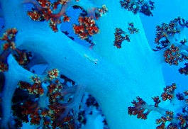 �x�ˁE�������l5