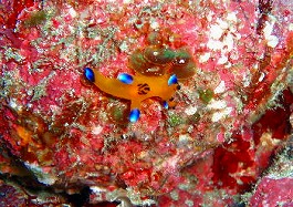 �x�ˁE�������l6