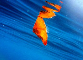 �x�ˁE�������l7