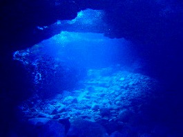 �x�ˁE�������l8