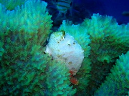 �x�ˁE�������l9