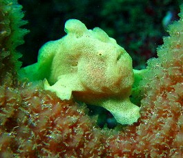 �C�m�����E�������l3