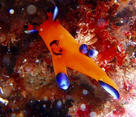 �C�m�����E�������l4