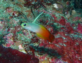 �x�ˁE�������l1