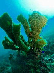 �x�ˁE�������l3