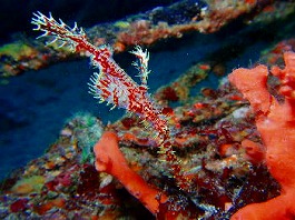 �x�ˁE�������l5