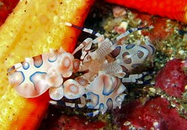 �C�m�����E�����܂l9