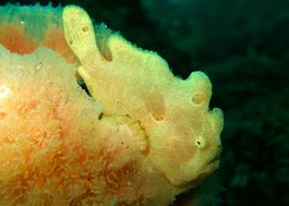 �C�m�����E�����܂l2