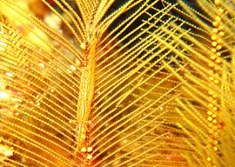 �C�m�����E�����܂l3