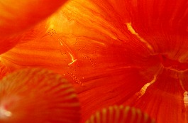 �C�m�����E�����܂l4