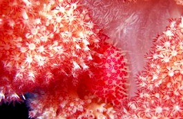 �C�m�����E�����܂l8