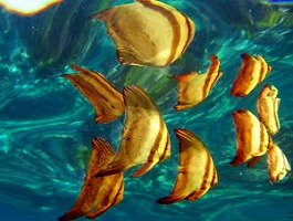 �x�ˁE�����܂l1