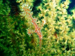 �x�ˁE�₷�l1