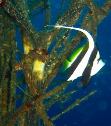 �����E�悵����l2