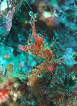 ������������̎ʐ^