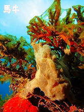 �n������t�H�g2