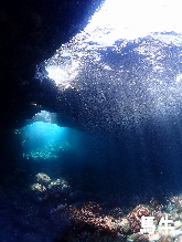 �n���t�H�g