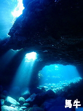 �n���t�H�g