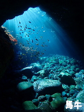 �n���t�H�g