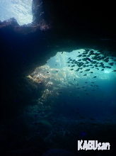 ���Ԃ���t�H�g