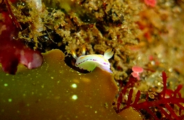 �܂䂿��̉摜����12