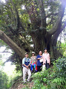 2006�䑠���h���t�B��6