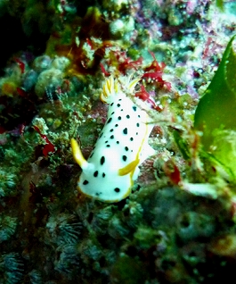 ����[������̎ʐ^